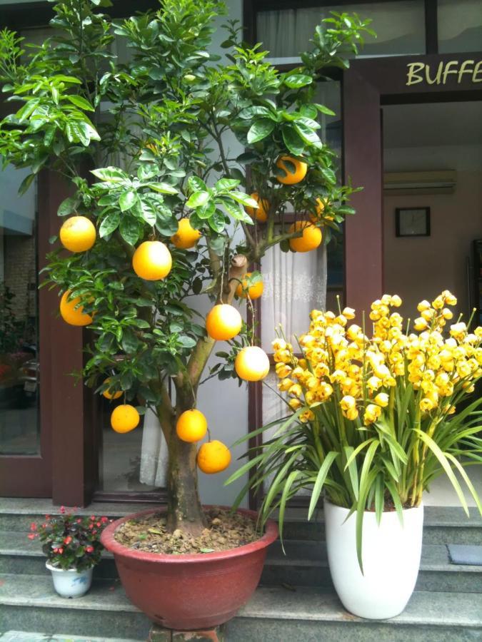 האי פונג Thien Anh Hotel מראה חיצוני תמונה